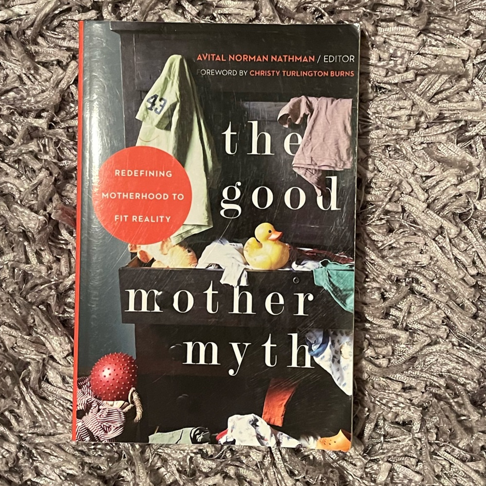 The Good Mother Myth. Paperback. Excellent condition.